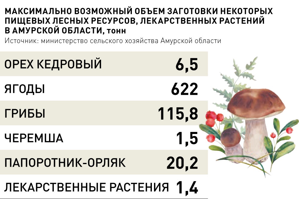 Фото большое жопа